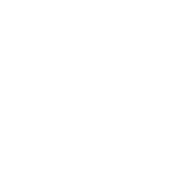 stokrotka 2