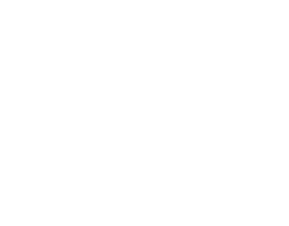 stokrotka 3
